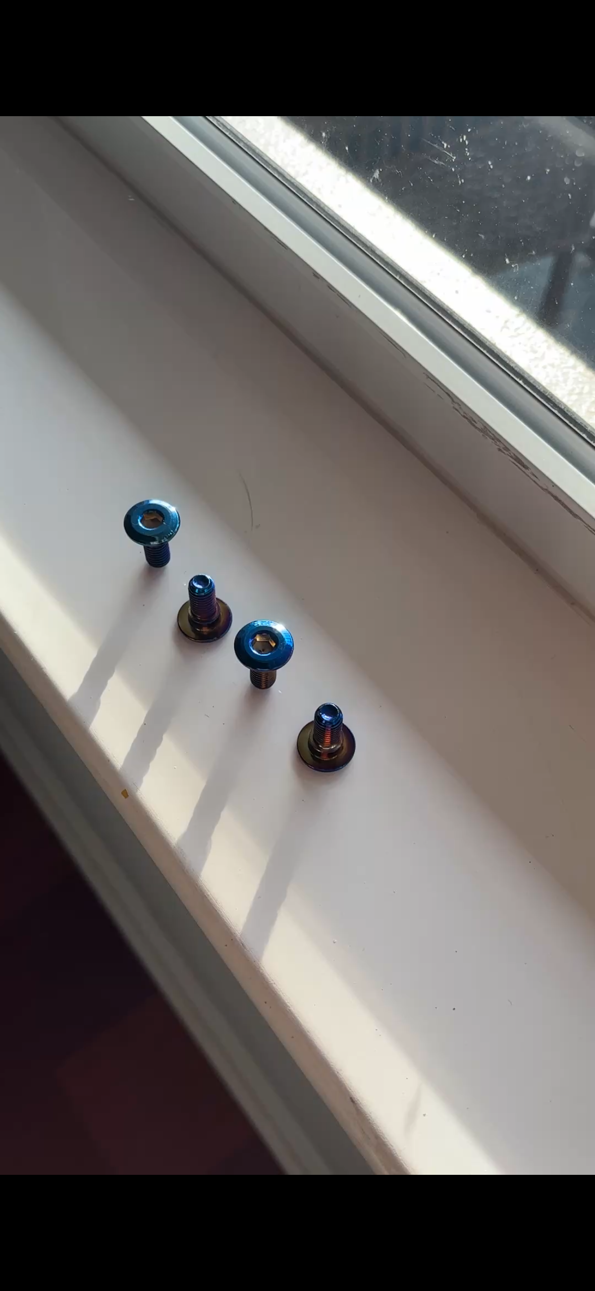 PITBIKE/SUPERMOTO Titanium Rotor Bolts